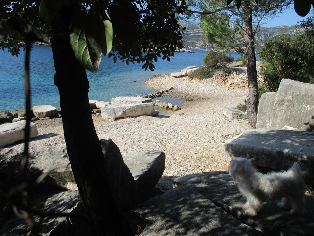 Zrnovo Relax Tiny Villas 40 Meters Of The Beach מראה חיצוני תמונה